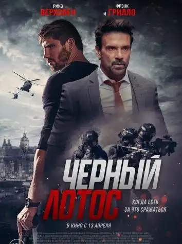 постер Черный лотос