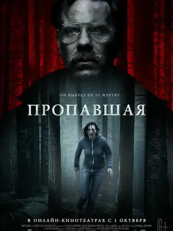 постер Пропавшая