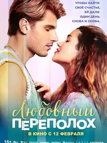 постер Любовный переполох