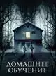 Домашнее обучение